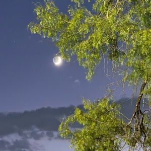 Meet your Posher, Montserrat